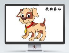 搜狗自动养站程序：基于懒人站群程序V2.4.1